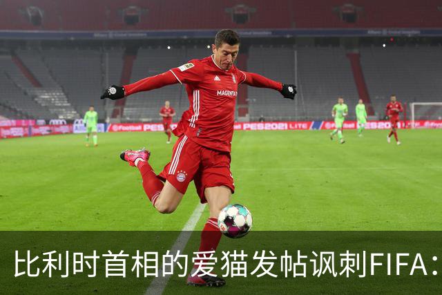 比利时首相的爱猫发帖讽刺FIFA：“红牌？”我照样继续踢！
